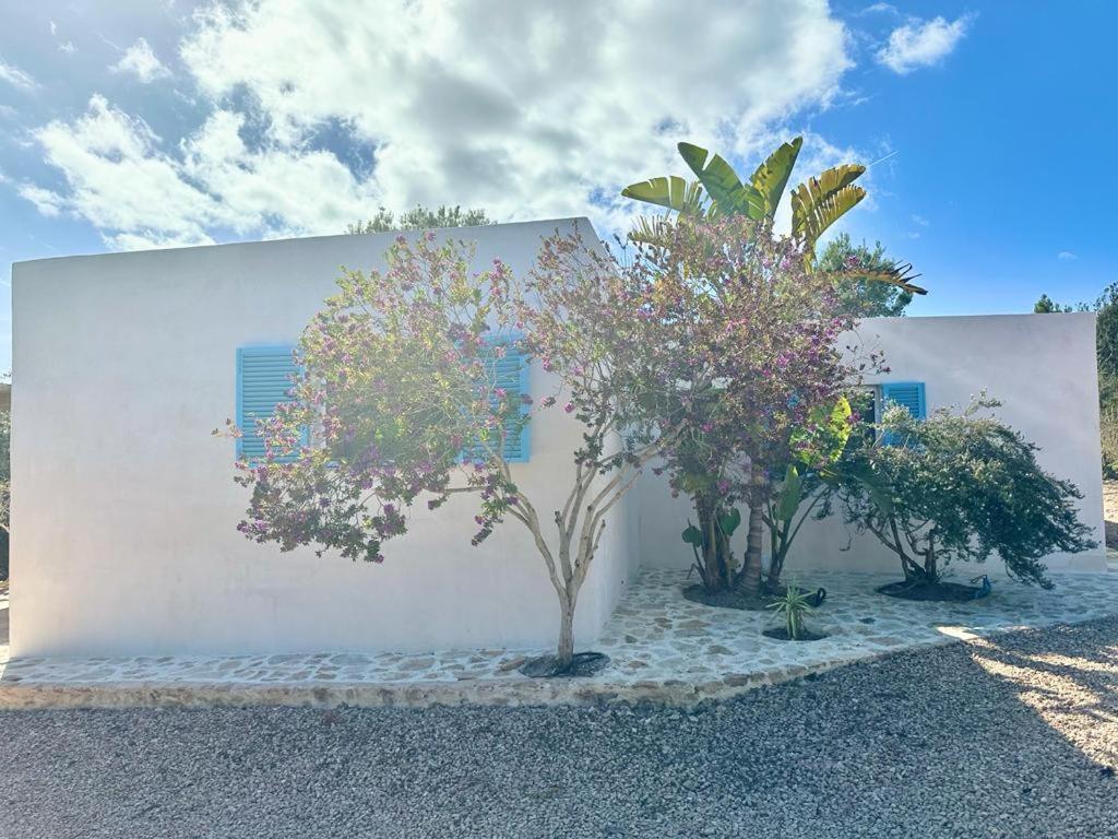 Casa Rustick Villa San Francisco Javier Eksteriør bilde