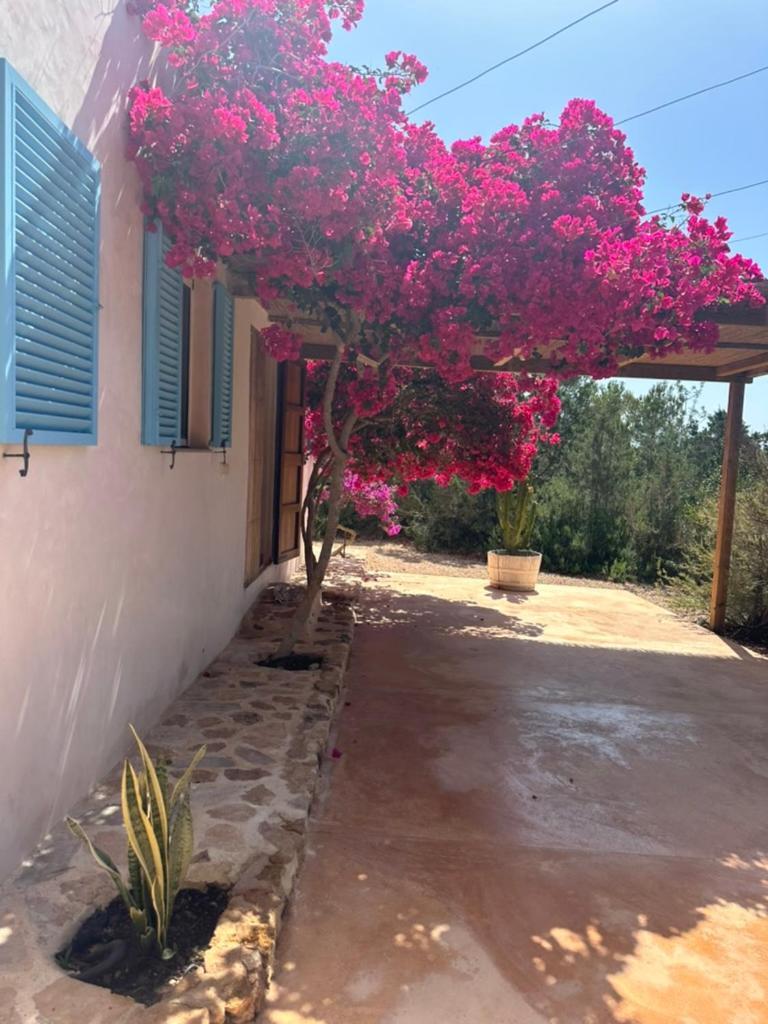 Casa Rustick Villa San Francisco Javier Eksteriør bilde